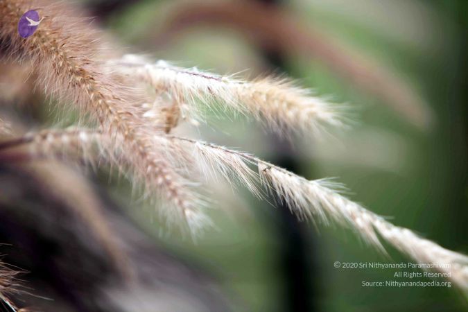 20101015IMG 7627 CMP WM00010.jpg