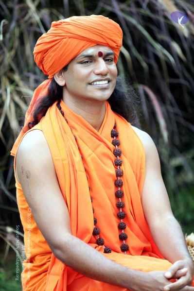 File:20101015IMG 7650 CMP WM00010.jpg