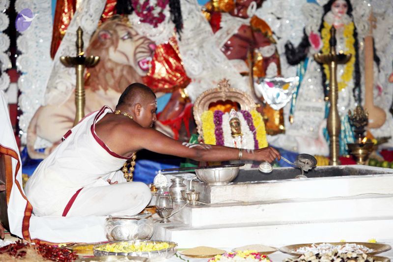 File:20101015IMG 7738 CMP WM001.jpg