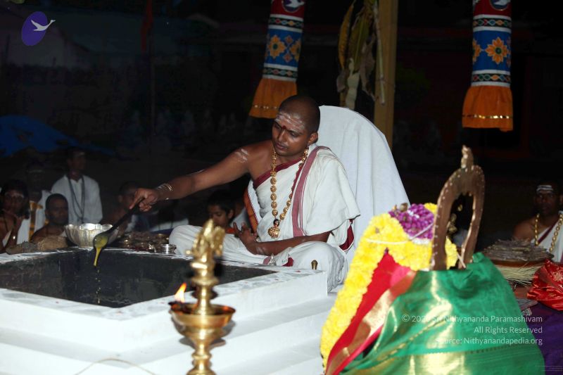 File:20101015IMG 7786 CMP WM001.jpg