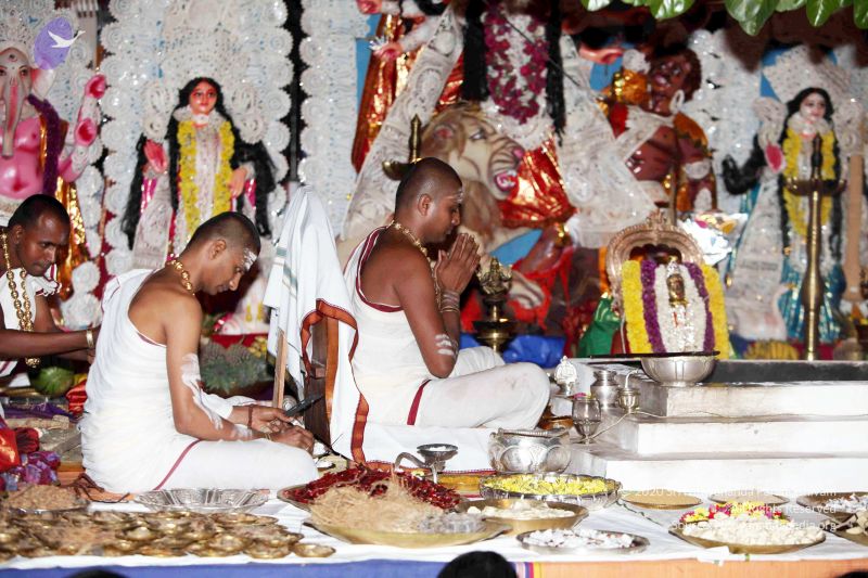 File:20101015IMG 7805 CMP WM001.jpg