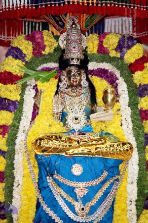 20101015IMG 7931 CMP WM001.jpg