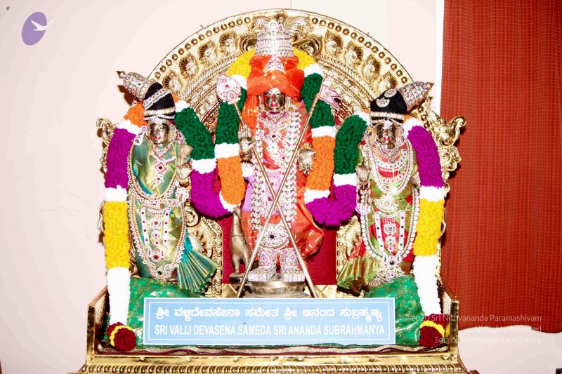 File:20101015IMG 8048 CMP WM001.jpg