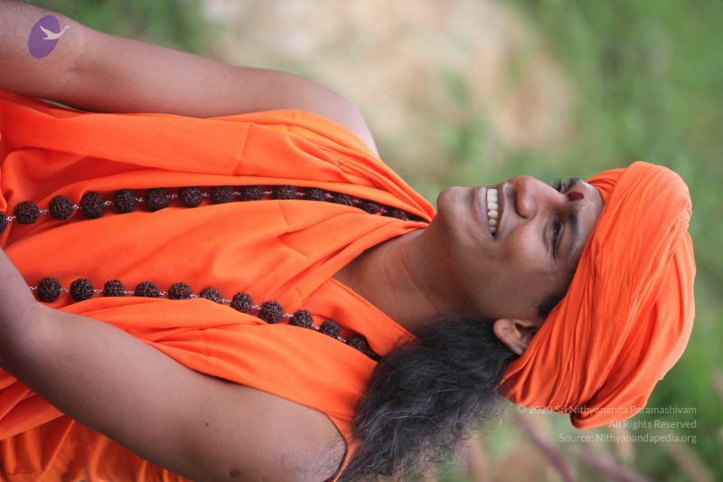 File:20101015 Photo 1008 1 RPjbPrnNkmWz9BKmqY6EZdiqqf7BUX2.JPG