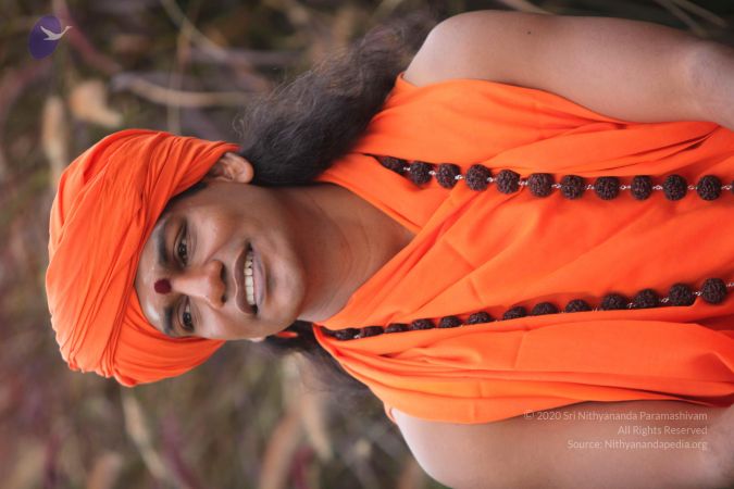 20101015 Photo 1022 1CUoGNo2ScjbBNkpI6xP2UsGKUXpzpVbC.JPG