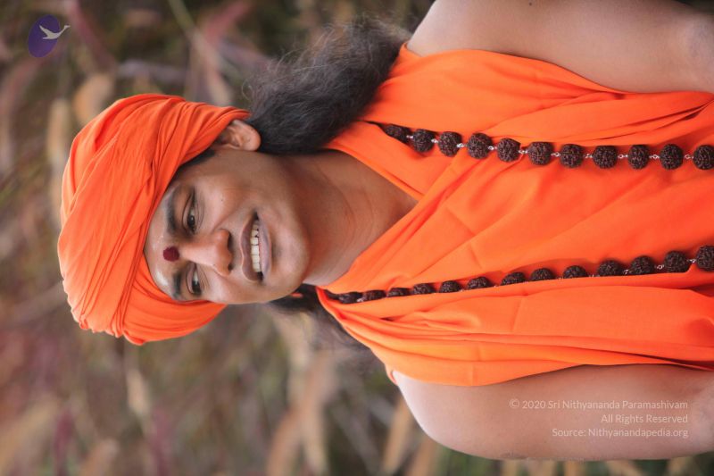 File:20101015 Photo 1023 1DMyO6FsOw8T4iKKftIU5hfJYFgKbf7ML.JPG