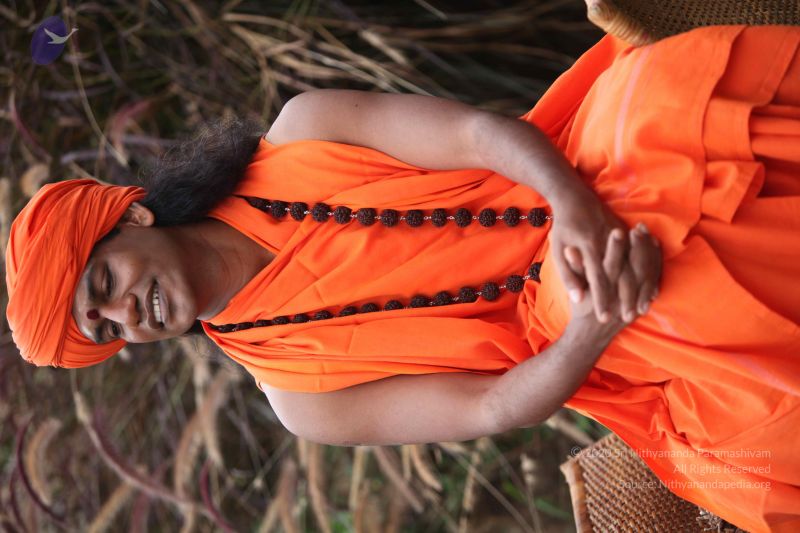 File:20101015 Photo 1027 15P3FF3wThEUQKrhL4ydjqDfhJD-AASnW.JPG