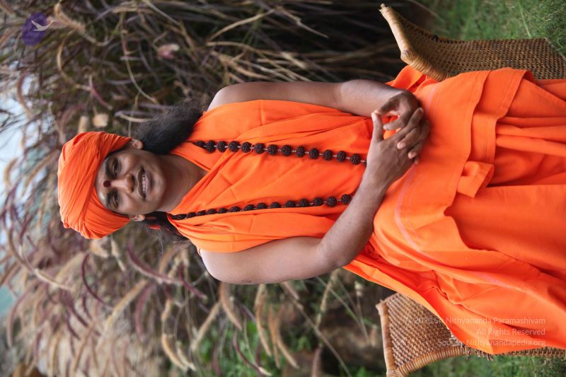 File:20101015 Photo 1035 1oA m58nfxRaxNh9SEtFhkzkwVKm3sKB3.JPG