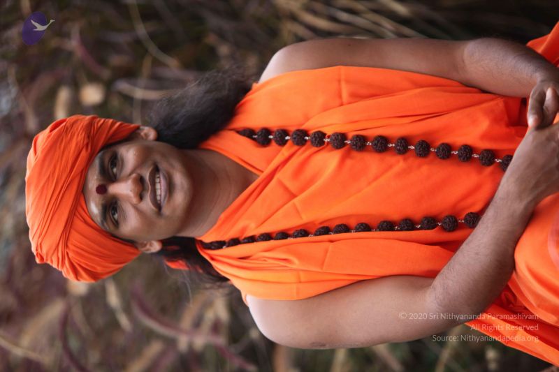 File:20101015 Photo 1036 1Uf6AQyQyWmYxIKDlJU9ar N9cPVHyqIH.JPG