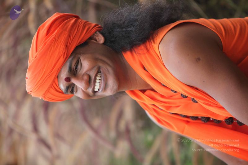 File:20101015 Photo 1046 1 THMOSZFy8qA6XT5Nqox72EeCRoS i7b.JPG