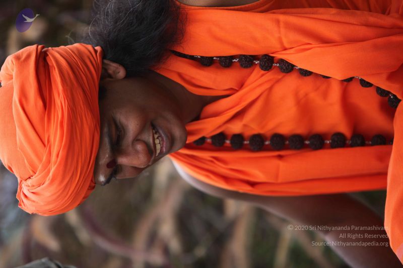 File:20101015 Photo 1055 1 9jbqcGwQD bIroZQeSMrChqy3A04QgU.JPG