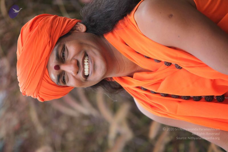 File:20101015 Photo 1060 1tDX6HOCroCMugbn5YOoQ3BPKzch4qj4S.JPG