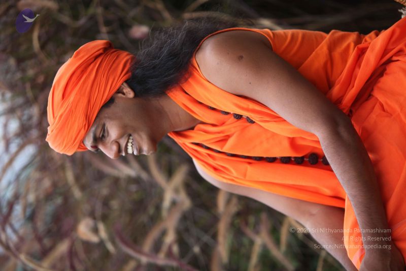 File:20101015 Photo 1065 1QzqE qnxALvqcB5AJEmc8WghGe42a99j.JPG