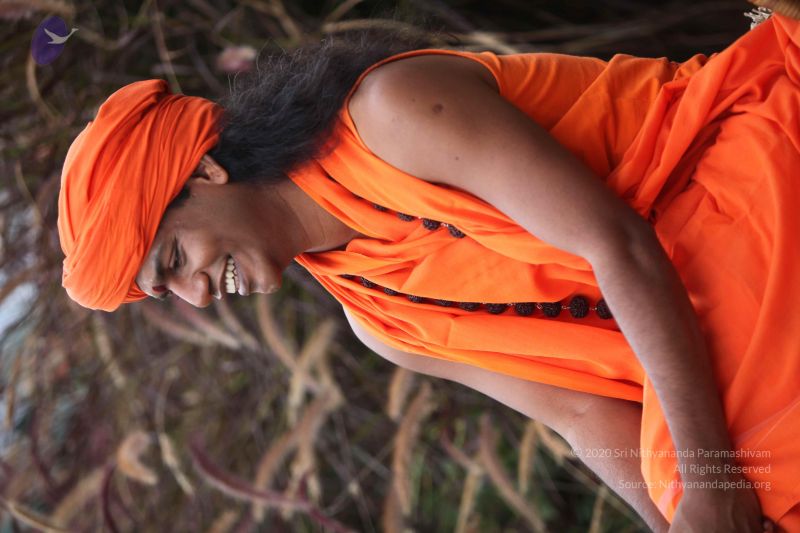 File:20101015 Photo 1066 1uSv2i29CGGOGabmEsIHsj6 X836Trf1u.JPG