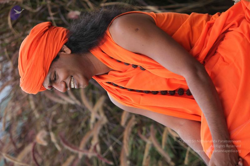 File:20101015 Photo 1067 1Z23UKjQEX4oN0TpEY-D1PuNPafdlbQwX.JPG