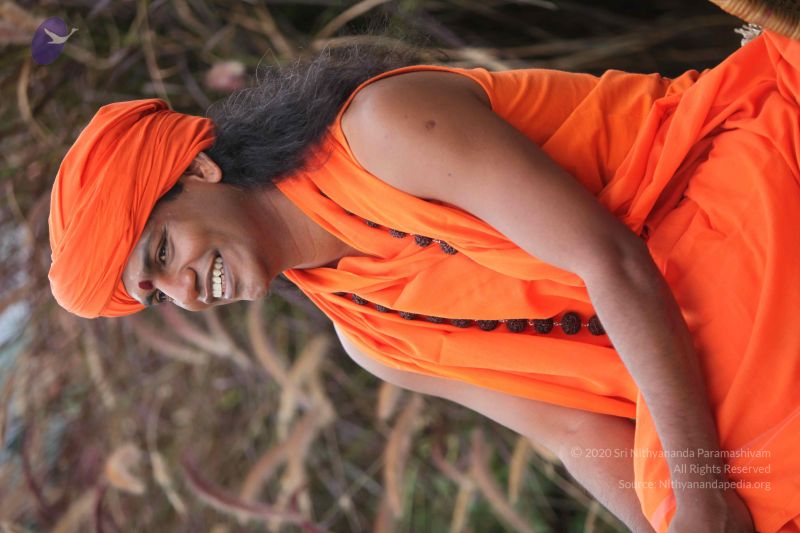 File:20101015 Photo 1069 1KD1wvR3sGXh4TXukmOv6xjTQ pTnJb2j.JPG