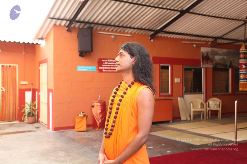 File:20101015 Photo 1246 1joueN1br4xwQCcBKpx-umymaXF8J-zbh.JPG