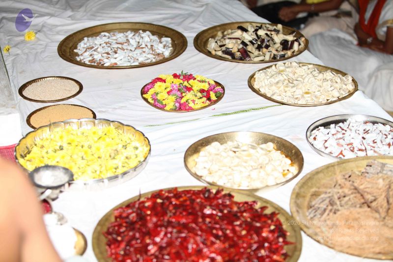 File:20101015 Photo 1319 1DbMXGnzGAPbmWt2TTEUppVH0bOYlz8q0.JPG