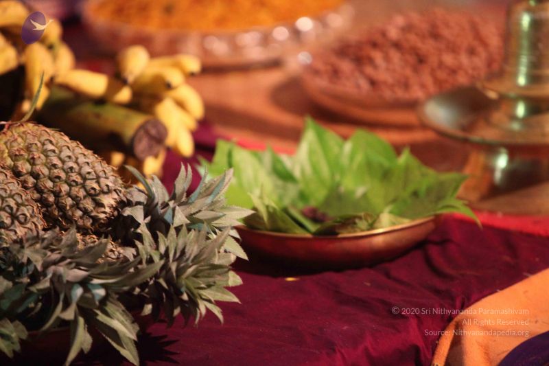 File:20101015 Photo 1784 1010jfLdVZUlrt8P7WVIhTMfrLQHjR Nh.JPG