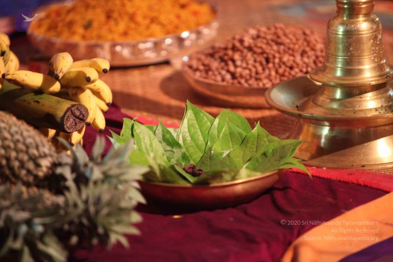 File:20101015 Photo 1785 1nYgDXOCq93Nz0gBGKs81egtB 1JIjUlC.JPG