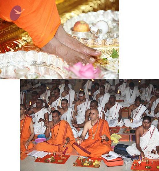 File:20101016 Photo 1003 1a rMuXzgBdaXirjetGOmtyYSQA92VHZV.JPG