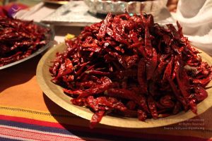 20101016 Photo 1620 1wB5dZucepw6J-JIvjfGehVPDih0lGnB7.JPG