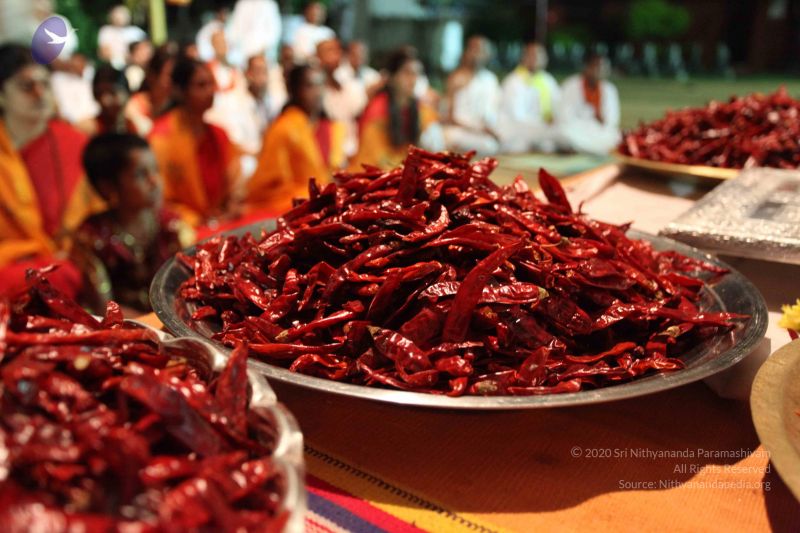 File:20101016 Photo 1623 1NI7-8xQR1vN7V8zq6xJFM-aF9qVGDfrm.JPG