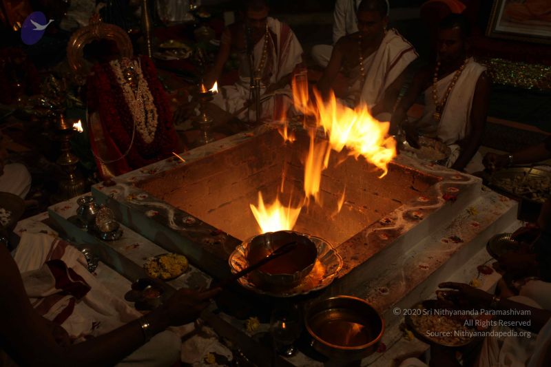 File:20101016 Photo 1686 1UJ- J1dr9r6hTc-RqLS8Njd3KyyRhf3a.JPG