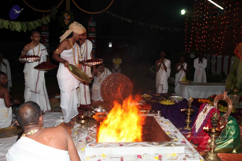 File:20101016 Photo 1841 1GPTbImgGxlxrm3u5pjN9fmbEF-FrqUNK.JPG