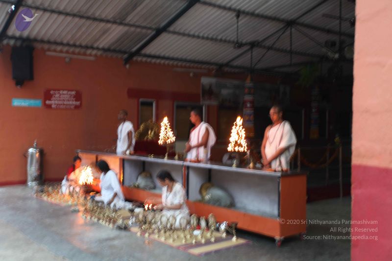 File:20101016 Photo 1869 1zDCg 5bm7BbnZfki1TU6Xo6FR37PHT6w.JPG