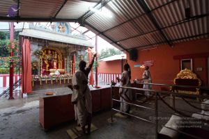 20101016 Photo 1895 1-r0iMnF-vB7dT2mSphNVhgAuevGBy3Tq.JPG