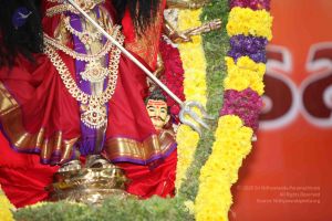 20101016 Photo 2106 1h7W15MTldYWZnB2u6OalxipVnQQFH14n.JPG