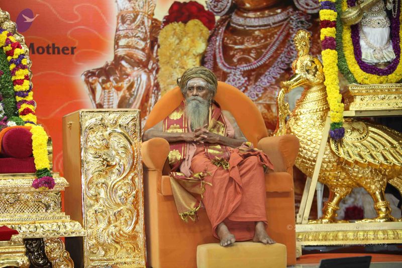 File:20101016 Photo 2263 1rWZ6UMaToro58ohj TcaoRBIJc5zxvs5.JPG