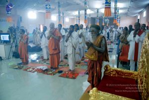 20101017DSC 5389 CMP WM0101010.jpg