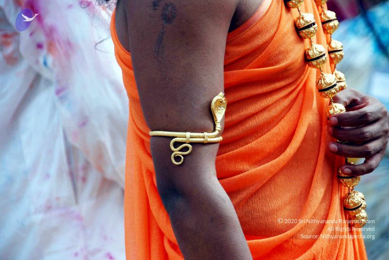 File:20101017DSC 6012 CMP WM0001000.jpg