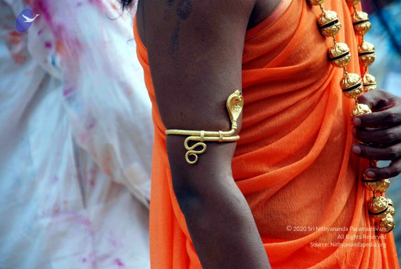 File:20101017DSC 6013 CMP WM0001000.jpg