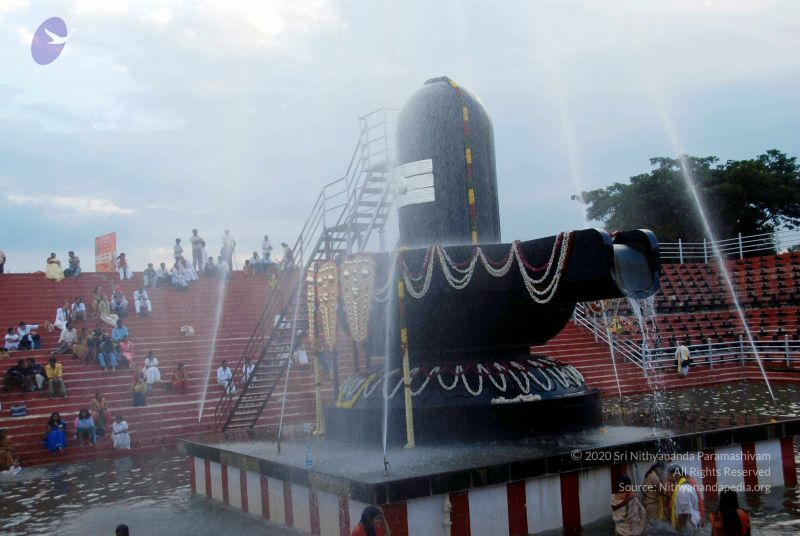 File:20101017DSC 6343 CMP WM0101010.jpg