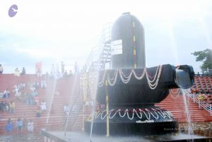 20101017DSC 6345 CMP WM0101010.jpg