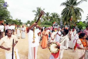 20101017IMG 0086 CMP WM0010.jpg