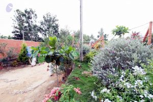 20101017IMG 0165 CMP WM0010.jpg