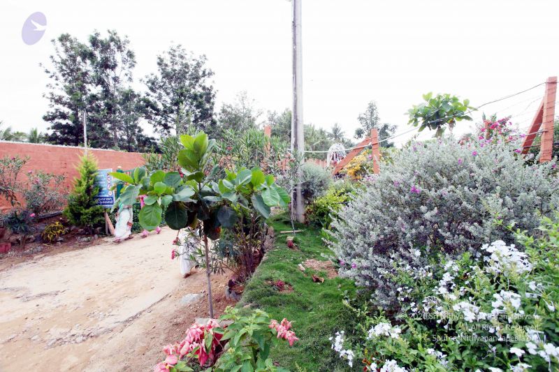 File:20101017IMG 0165 CMP WM0010.jpg