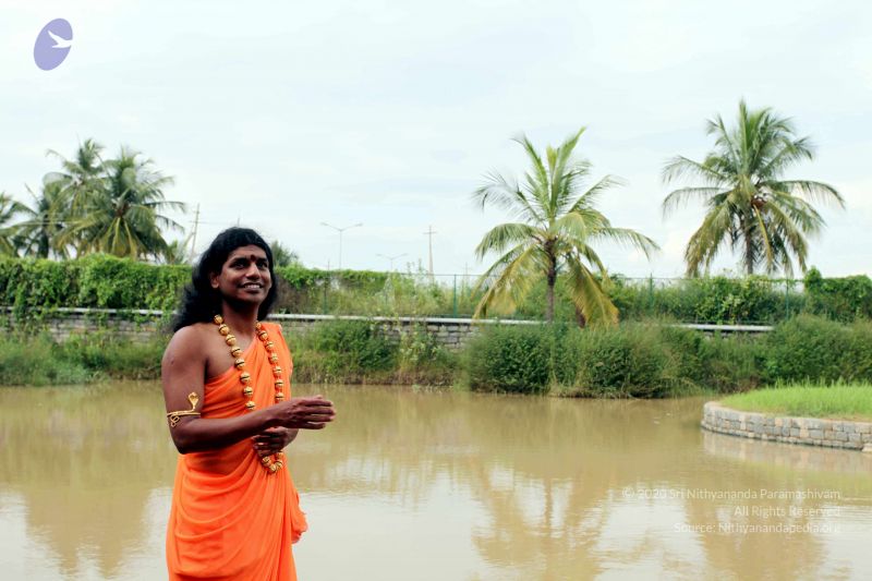 File:20101017IMG 0396 CMP WM0010.jpg