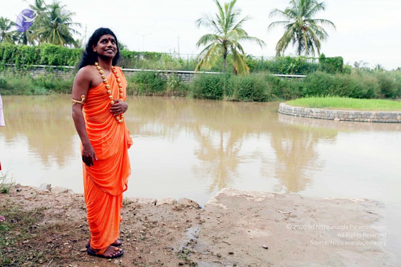 File:20101017IMG 0398 CMP WM0010.jpg