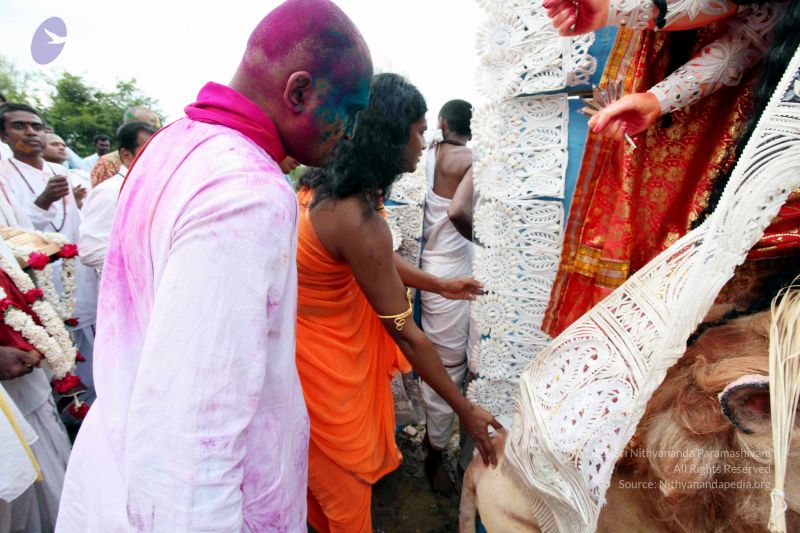 File:20101017IMG 0476 CMP WM0010.jpg