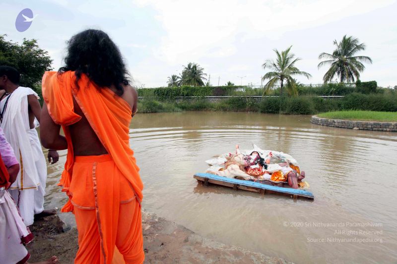 File:20101017IMG 0505 CMP WM0010.jpg