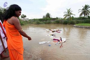 20101017IMG 0529 CMP WM0010.jpg