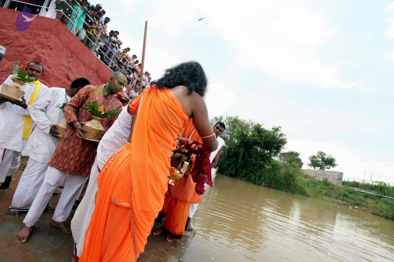 File:20101017IMG 0537 CMP WM0010.jpg