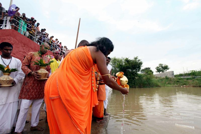 File:20101017IMG 0544 CMP WM0010.jpg