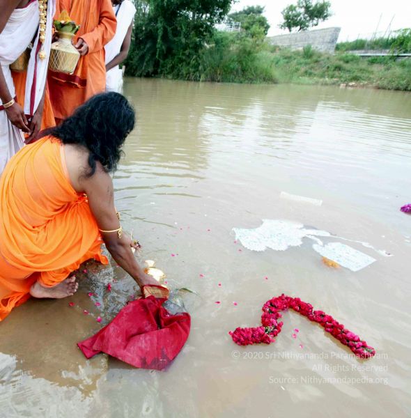 File:20101017IMG 0547 CMP WM0010.jpg