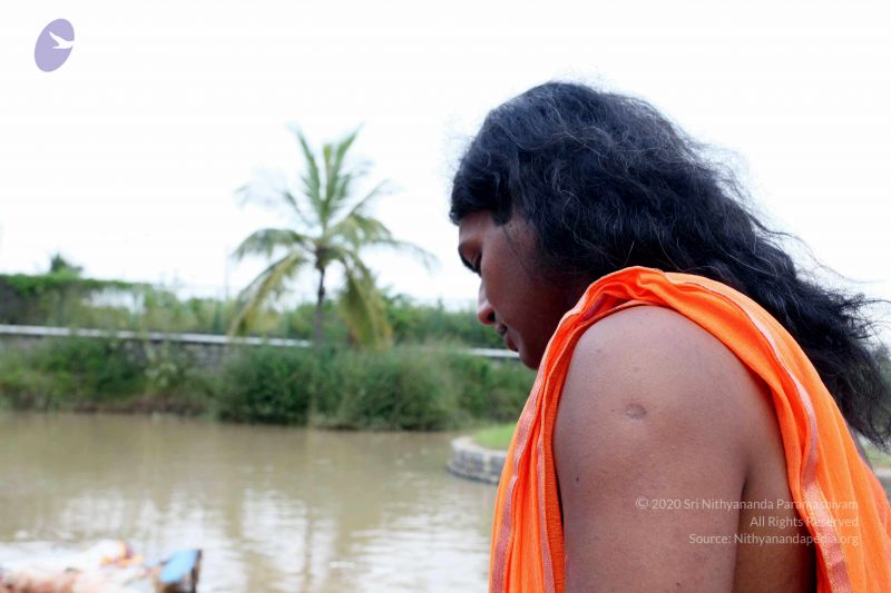 File:20101017IMG 0555 CMP WM0010.jpg